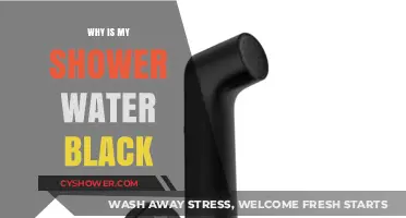 Why Is My Shower Water Black? Causes and Solutions Explained