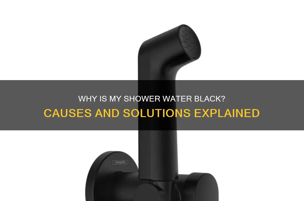 why is my shower water black