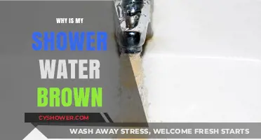 Why Is My Shower Water Brown? Causes and Solutions Explained