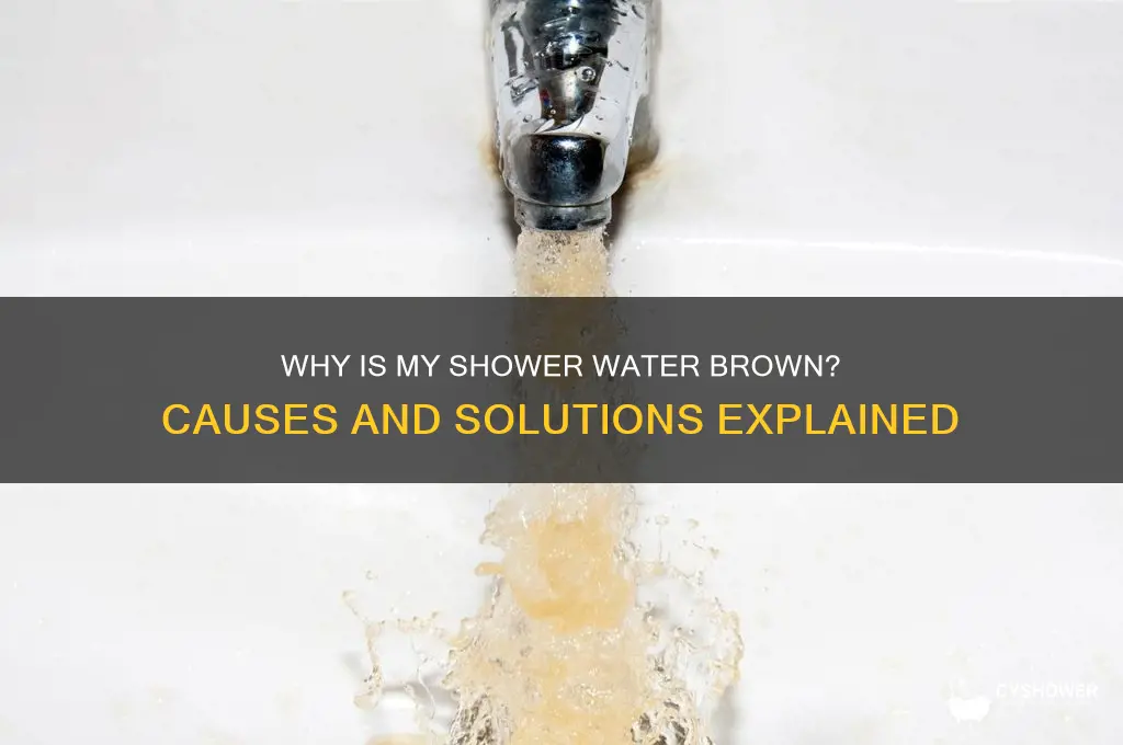 why is my shower water brown
