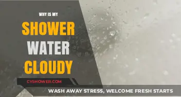 Why Is My Shower Water Cloudy? Causes and Solutions Explained