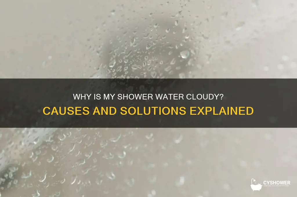 why is my shower water cloudy