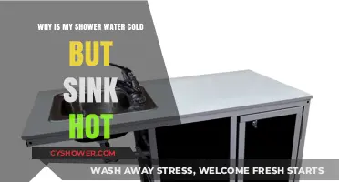 Cold Shower, Hot Sink: Troubleshooting Your Water Temperature Issues
