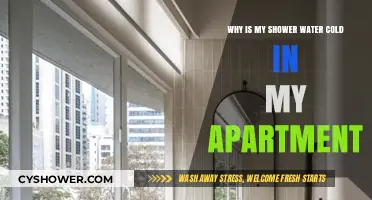 Why Your Apartment Shower Water Stays Cold: Common Causes & Fixes