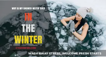 Winter Woes: Why Your Shower Water Turns Cold in the Cold Months
