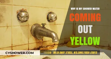 Why Is My Shower Water Yellow? Causes and Solutions Explained
