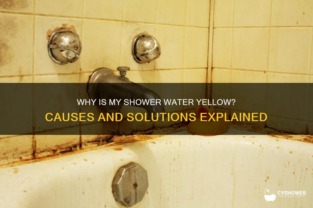 why is my shower water coming out yellow