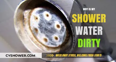 Why Is My Shower Water Dirty? Causes and Solutions Explained