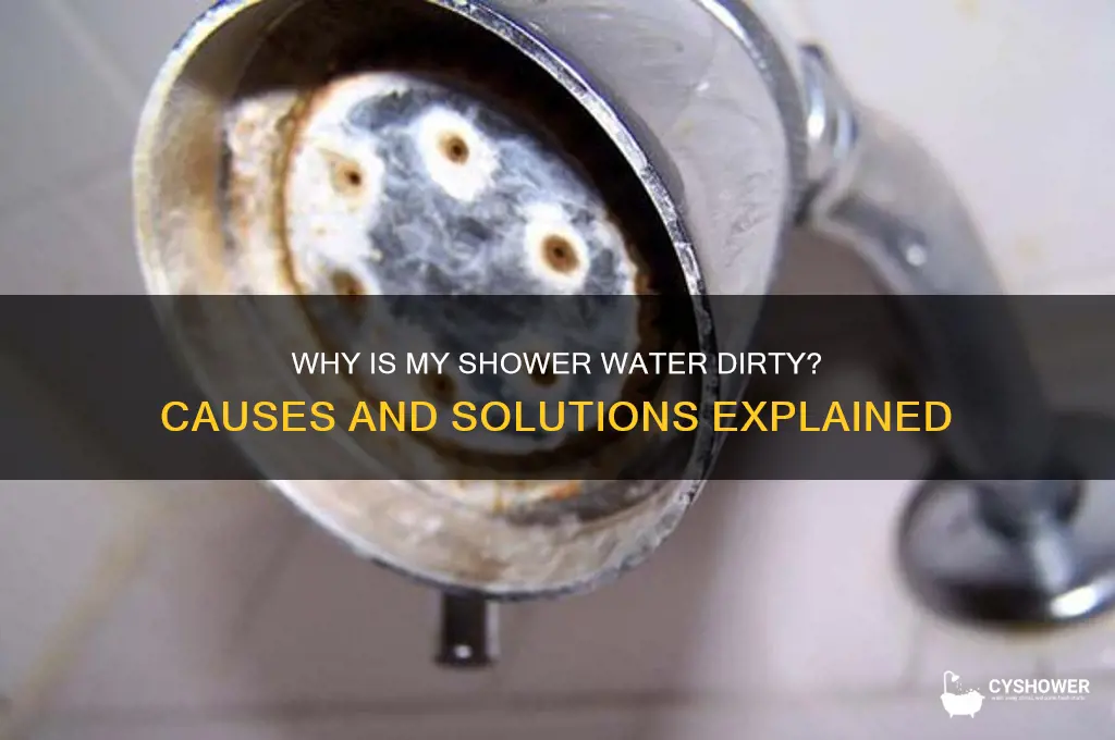 why is my shower water dirty