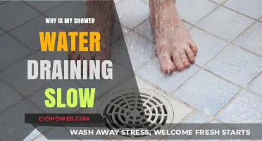 Slow Shower Drain? Causes and Quick Fixes for Better Flow