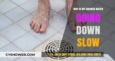 Slow Shower Drain? Common Causes and Quick Fixes to Try
