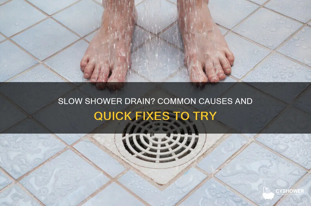 why is my shower water going down slow
