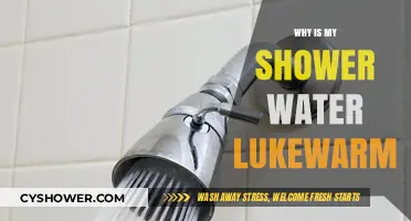 Why Your Shower Water is Lukewarm: Common Causes and Fixes