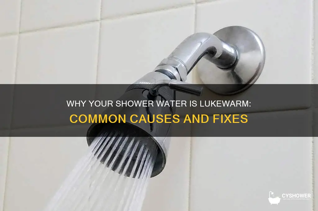 why is my shower water lukewarm