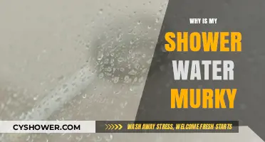 Murky Shower Water: Causes, Concerns, and Clear Solutions Explained