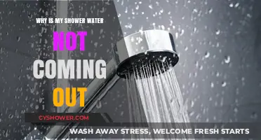 Why Your Shower Water Isn’t Flowing: Common Causes & Fixes