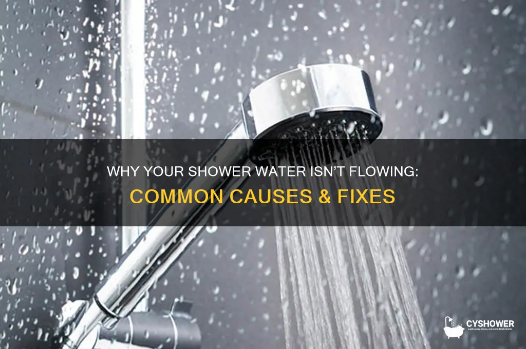 why is my shower water not coming out