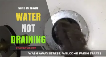 Shower Drain Clogged? Causes and Quick Fixes for Slow Draining Water