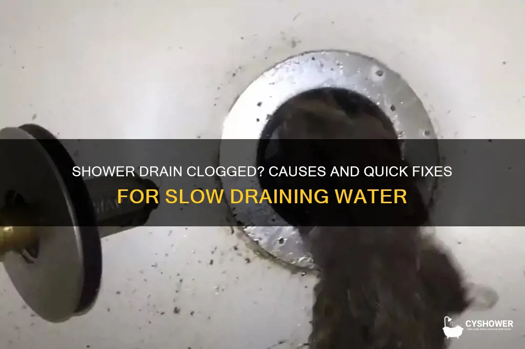 why is my shower water not draining