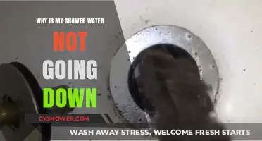 Shower Drain Clogged? Reasons Your Water Isn't Draining Properly