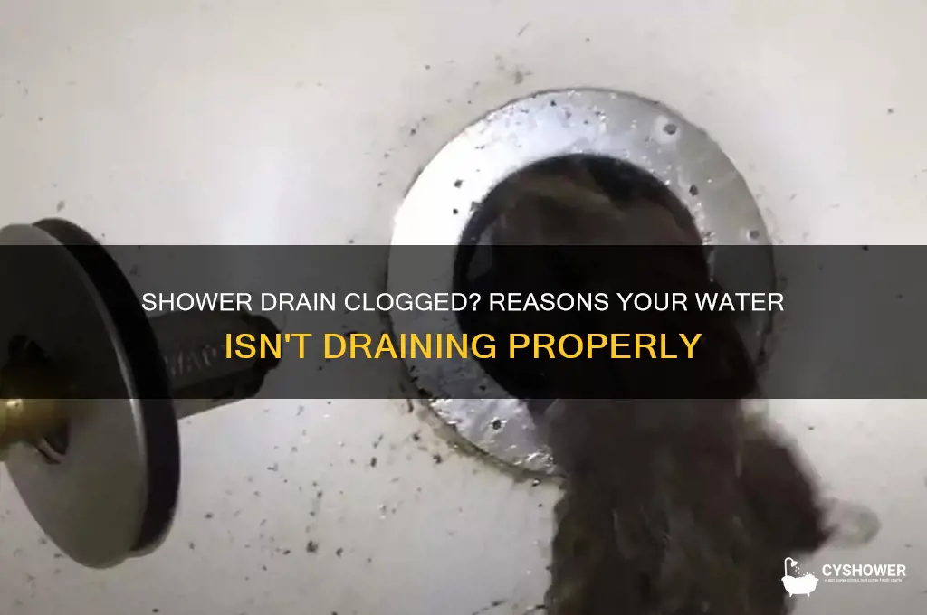 why is my shower water not going down