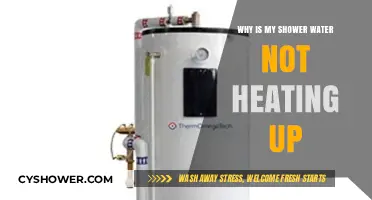 Why Your Shower Water Isn’t Heating Up: Common Causes & Fixes