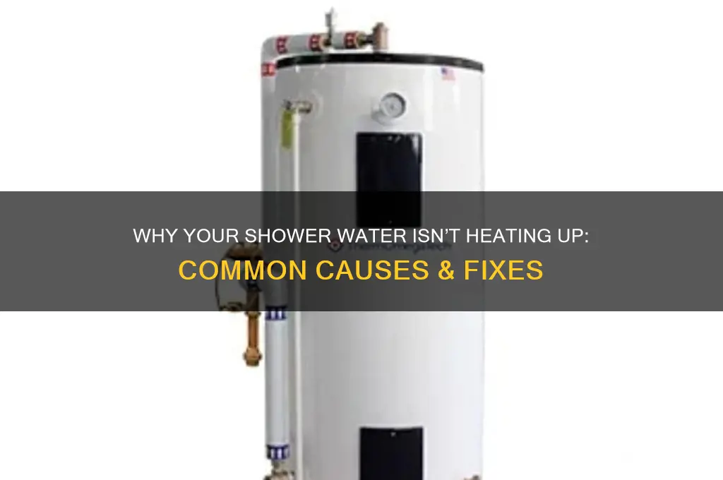 why is my shower water not heating up