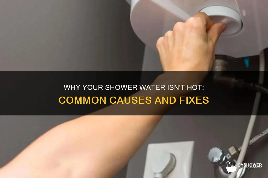 why is my shower water not hot