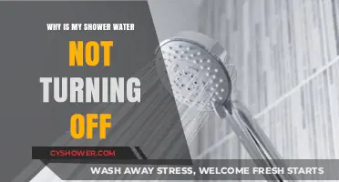 Shower Water Won't Stop Running? Troubleshooting Your Persistent Flow Issue