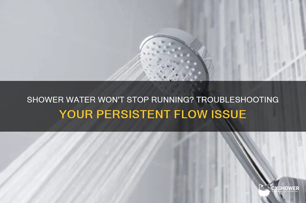 why is my shower water not turning off