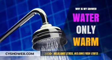 Why Your Shower Water Stays Warm: Common Causes and Fixes