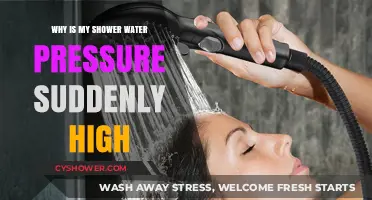 Sudden High Shower Pressure: Causes and Quick Fixes Explained