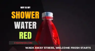 Why Is My Shower Water Red? Causes and Solutions Explained