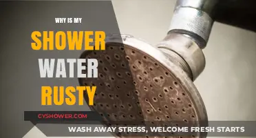 Rusty Shower Water: Causes, Solutions, and Prevention Tips Explained