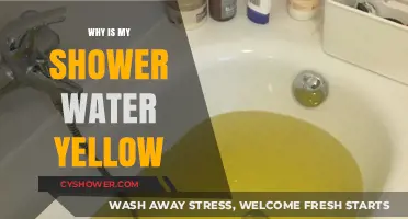 Why Is My Shower Water Yellow? Causes and Solutions Explained