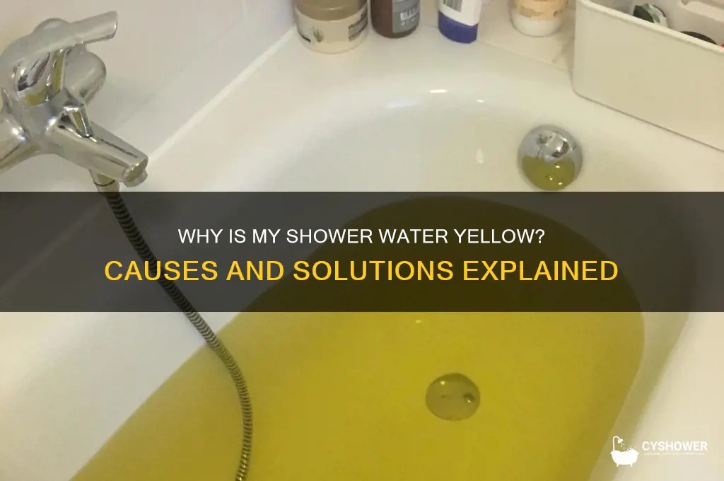 why is my shower water yellow