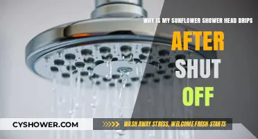 Sunflower Shower Head Dripping? Troubleshooting Post-Shutoff Leaks