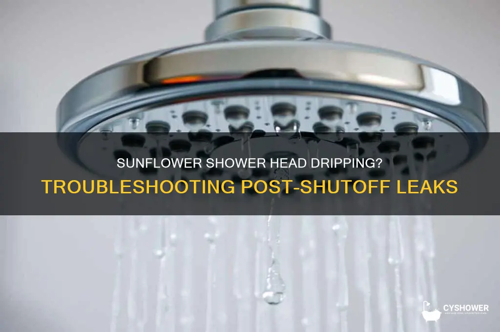 why is my sunflower shower head drips after shut off