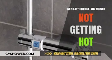 Troubleshooting Your Thermostatic Shower: Why It’s Not Heating Up