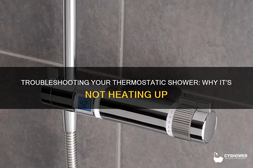 why is my thermostatic shower not getting hot