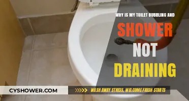 Toilet Bubbling, Shower Clogged: Causes and Quick Fixes for Drain Issues