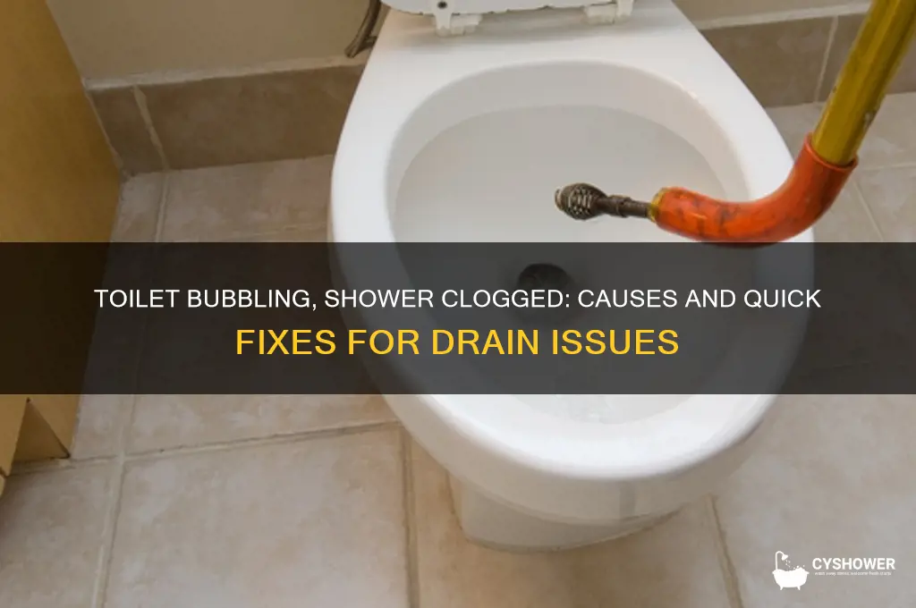 why is my toilet bubbling and shower not draining