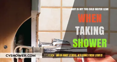 Why Your Tub's Cold Water Leaks During Showers: Causes & Fixes