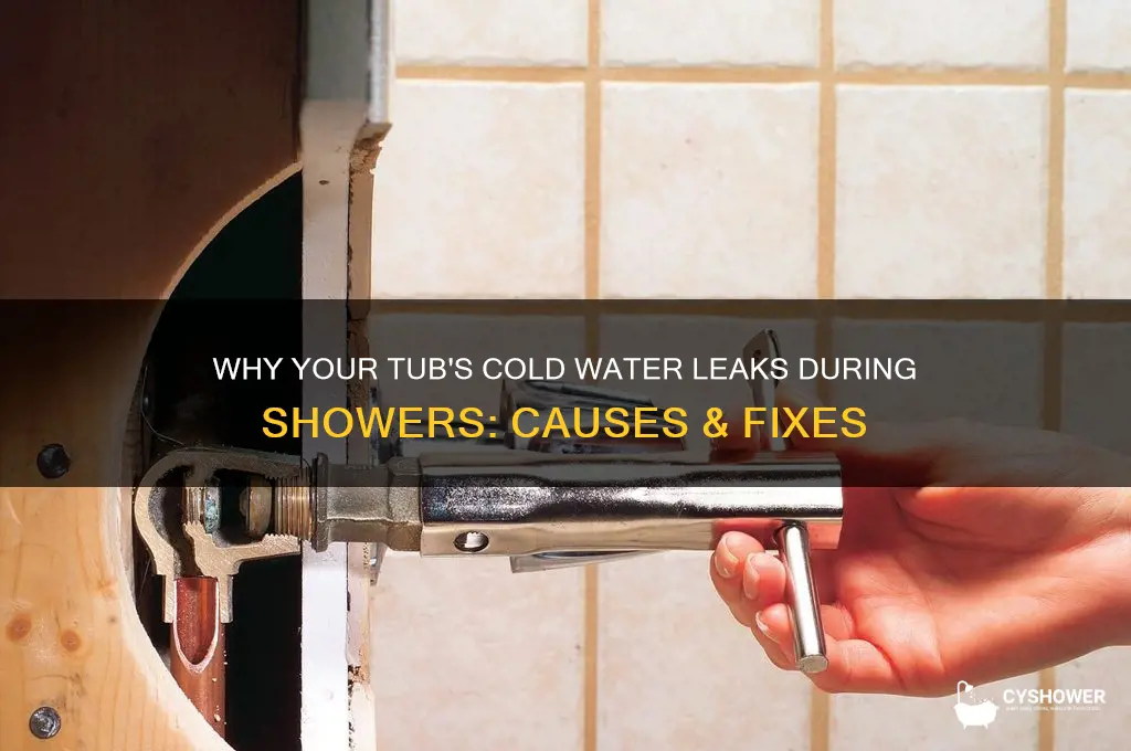 why is my tub cold water leak when taking shower
