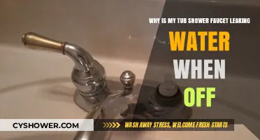 Fixing a Leaky Tub Shower Faucet: Causes and Solutions