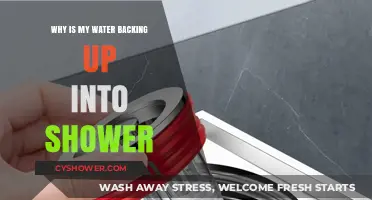 Shower Drain Backup: Causes and Solutions for Water Overflow