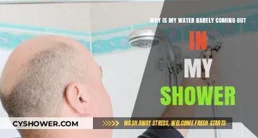 Low Shower Pressure: Causes and Quick Fixes for Weak Water Flow