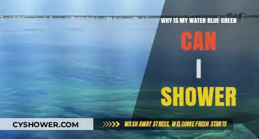 Why Is My Water Blue-Green? Can I Shower Safely?