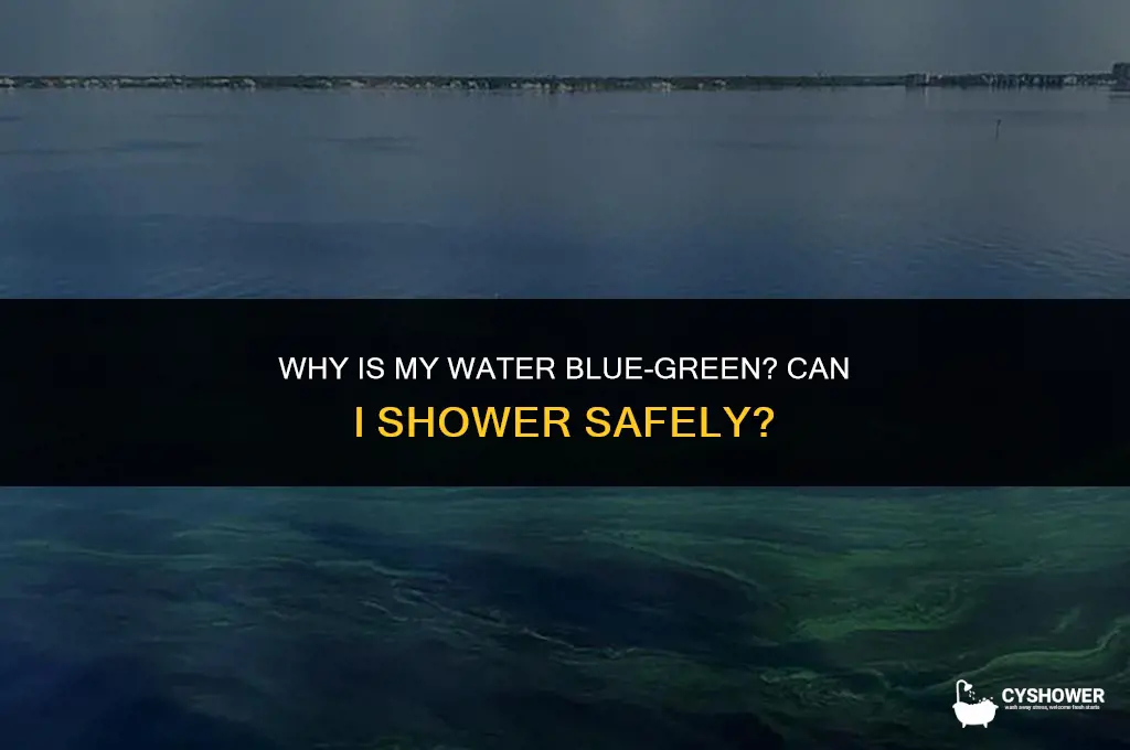 why is my water blue green can i shower