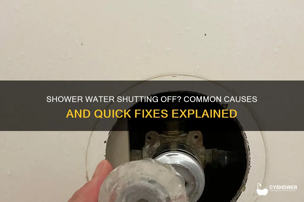why is my water shutting off when in shower
